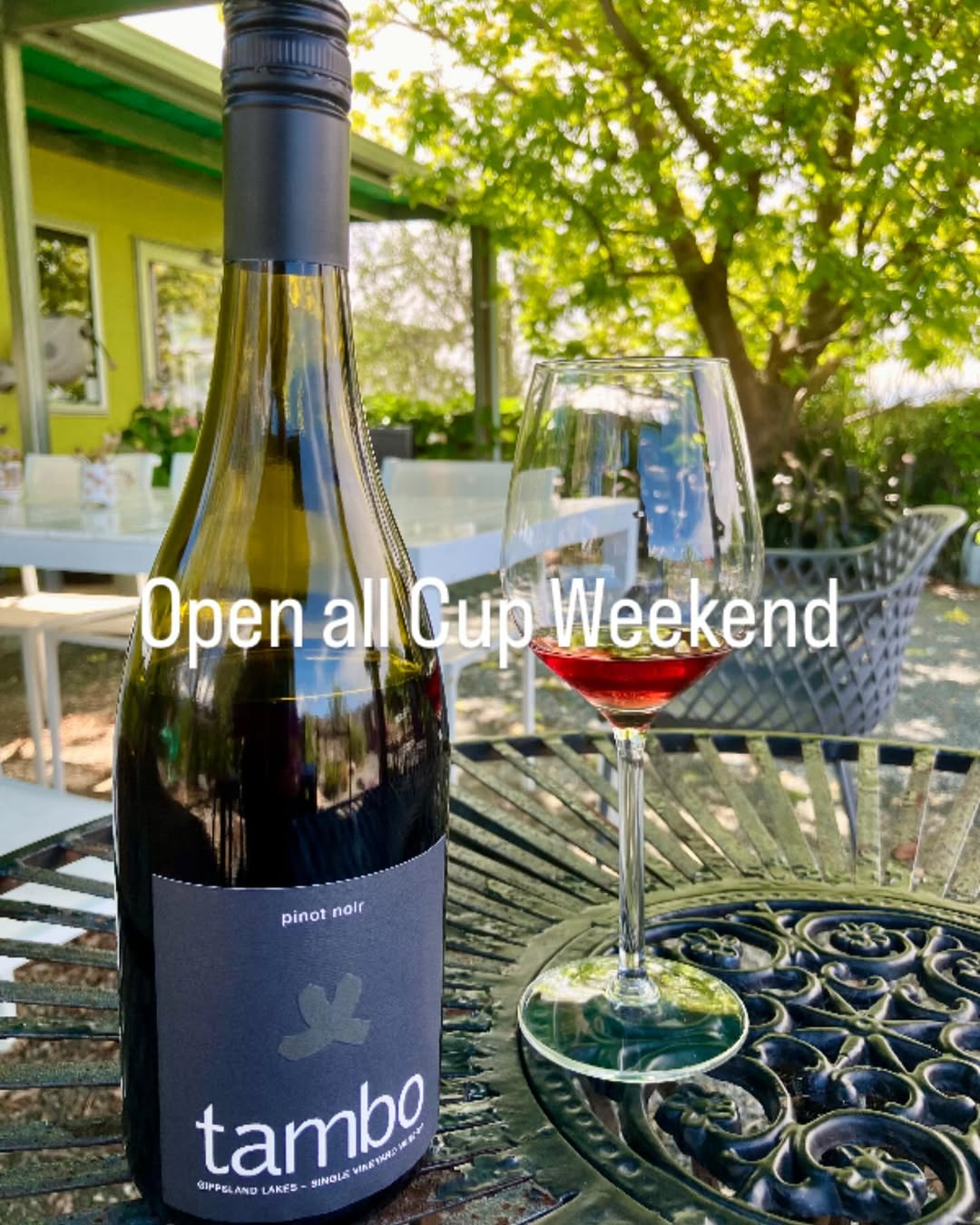 Tambo Winery Gallery